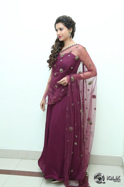 Hamsa-Nandini-at-Bengal-Tiger-Movie-Audio-Launch